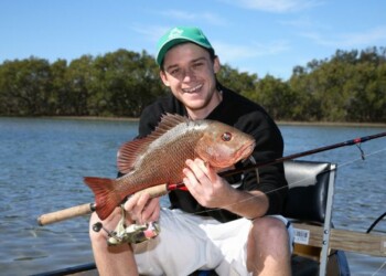 Southern jack study in the frame
